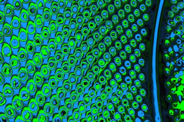 soyut yeşil doku, arkaplan, duvar kağıdını kopyala