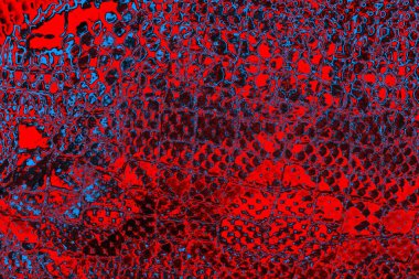 soyut mavi ve kırmızı doku, grunge arkaplan, boşluk duvar kağıdını kopyala