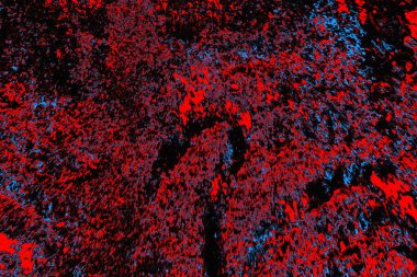 Renkli doku arkaplanı, boşluk duvar kağıdını kopyala