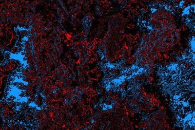 soyut mavi ve kırmızı doku, grunge arkaplan, boşluk duvar kağıdını kopyala