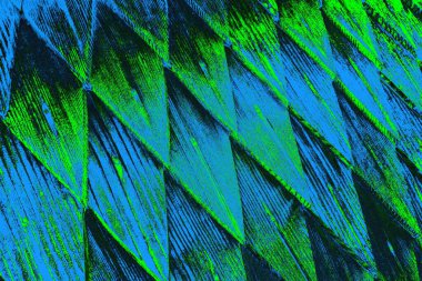 Boşluk duvar kağıdını, grunge arkaplanını, soyut renkli doku arkaplanını kopyala