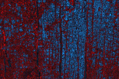 soyut mavi ve kırmızı doku, grunge arkaplan, boşluk duvar kağıdını kopyala