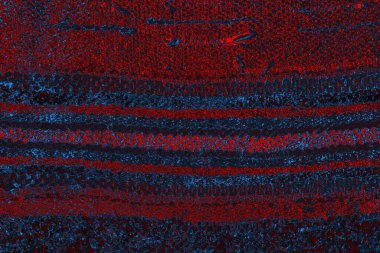 Soyut renk dokusu, grunge arkaplanı, boşluk duvar kağıdını kopyala