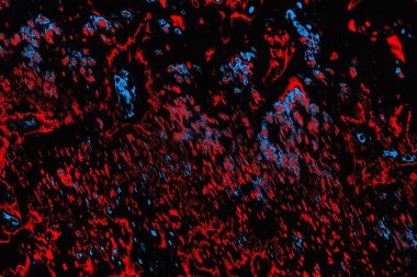 Soyut renk dokusu, grunge arkaplanı, boşluk duvar kağıdını kopyala