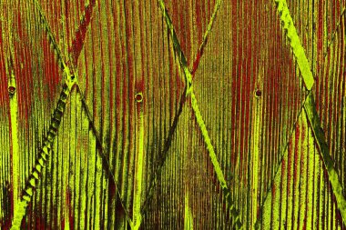  grunge arkaplanı, boşluk duvar kağıdını kopyala, soyut renkli doku arkaplanı