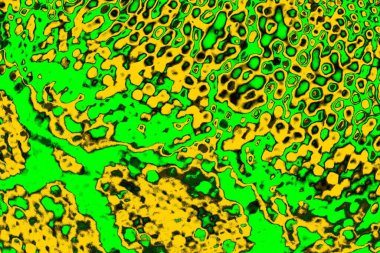 soyut yeşil doku arkaplanı, boşluk duvar kağıdını kopyala