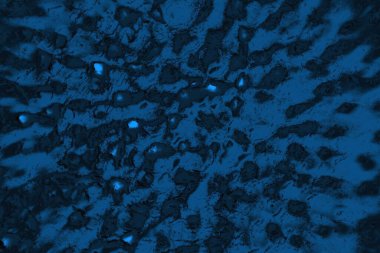 soyut doku, grunge arkaplan, boşluk duvar kağıdını kopyala      