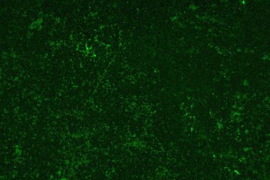 Soyut renk dokusu, grunge arkaplanı, boşluk duvar kağıdını kopyala