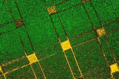 soyut yeşil doku arkaplanı, boşluk duvar kağıdını kopyala