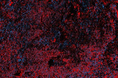 Soyut renk dokusu, grunge arkaplanı, boşluk duvar kağıdını kopyala