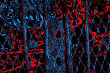 soyut mavi ve kırmızı doku, grunge arkaplan, boşluk duvar kağıdını kopyala