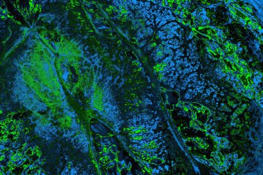 Boşluk duvar kağıdını, grunge arkaplanını, soyut renkli doku arkaplanını kopyala