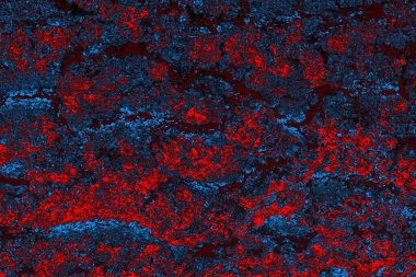 soyut mavi ve kırmızı doku, grunge arkaplan, boşluk duvar kağıdını kopyala