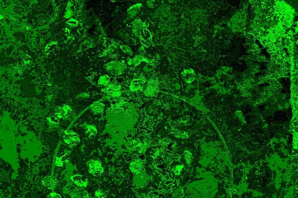 soyut yeşil doku arkaplanı, boşluk duvar kağıdını kopyala