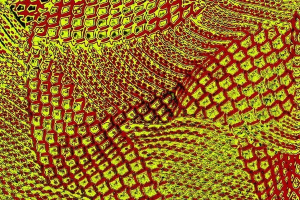 Boşluk duvar kağıdını, grunge arkaplanını, soyut renkli doku arkaplanını kopyala