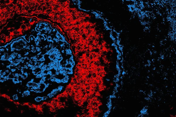 soyut mavi ve kırmızı doku, grunge arkaplan, boşluk duvar kağıdını kopyala