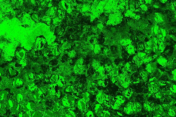 soyut yeşil doku arkaplanı, boşluk duvar kağıdını kopyala
