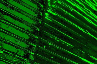 yeşil doku arkaplanı, boşluk duvar kağıdını kopyala