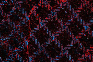 Renkli doku arkaplanı, boşluk duvar kağıdını kopyala