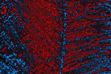 Soyut renk dokusu, grunge arkaplanı, boşluk duvar kağıdını kopyala