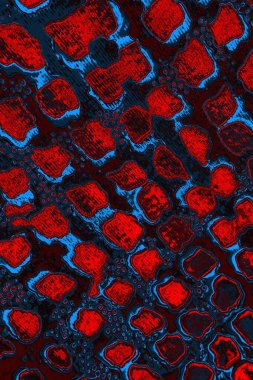 Soyut renk dokusu, grunge arkaplanı, boşluk duvar kağıdını kopyala