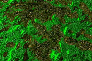 soyut yeşil doku arkaplanı, boşluk duvar kağıdını kopyala