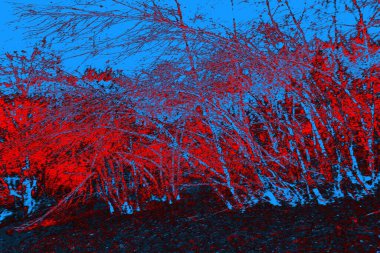 soyut mavi ve kırmızı doku, grunge arkaplan, boşluk duvar kağıdını kopyala