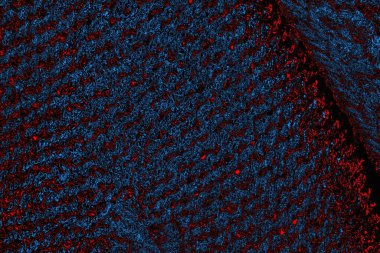 soyut mavi ve kırmızı doku, grunge arkaplan, boşluk duvar kağıdını kopyala