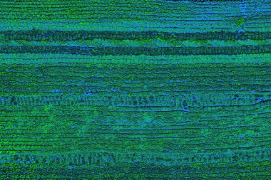 Boşluk duvar kağıdını, grunge arkaplanını, soyut renkli doku arkaplanını kopyala