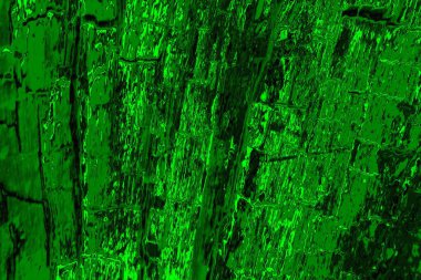 soyut yeşil doku arkaplanı, boşluk duvar kağıdını kopyala
