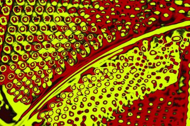 Soyut pejmürde bir doku. Asit grunge arkaplanı, metin veya reklamınız için boşluk resmini kopyala