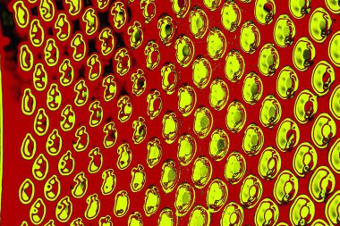 Soyut pejmürde bir doku. Asit grunge arkaplanı, metin veya reklamınız için boşluk resmini kopyala