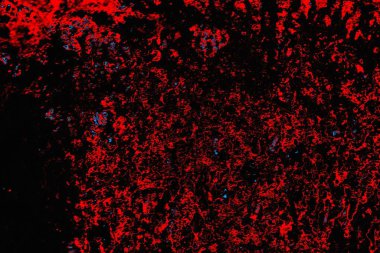 Soyut renk dokusu, grunge arkaplanı, boşluk duvar kağıdını kopyala