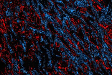 soyut mavi ve kırmızı doku, grunge arkaplan, boşluk duvar kağıdını kopyala