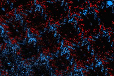 soyut mavi ve kırmızı doku, grunge arkaplan, boşluk duvar kağıdını kopyala