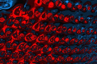 soyut mavi ve kırmızı doku, grunge arkaplan, boşluk duvar kağıdını kopyala