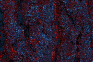 Soyut renk dokusu, grunge arkaplanı, boşluk duvar kağıdını kopyala