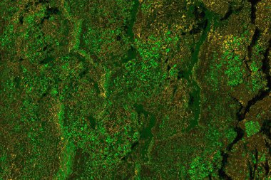 soyut yeşil doku arkaplanı, boşluk duvar kağıdını kopyala