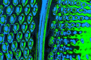 soyut yeşil doku, arkaplan, duvar kağıdını kopyala