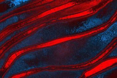 Soyut renk dokusu, grunge arkaplanı, boşluk duvar kağıdını kopyala