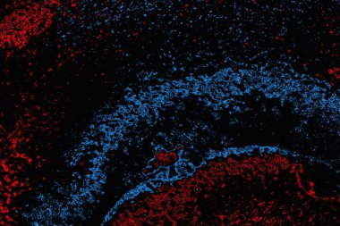 soyut mavi ve kırmızı doku, grunge arkaplan, boşluk duvar kağıdını kopyala