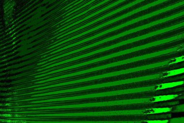 yeşil doku arkaplanı, boşluk duvar kağıdını kopyala