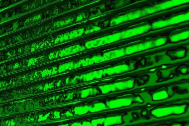 yeşil doku arkaplanı, boşluk duvar kağıdını kopyala