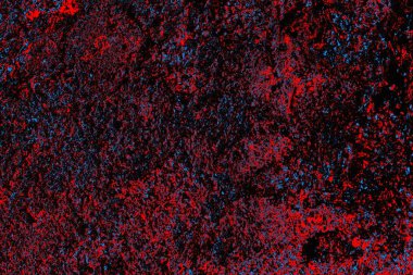 Soyut renk dokusu, grunge arkaplanı, boşluk duvar kağıdını kopyala