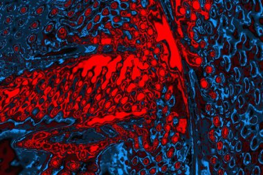 soyut mavi ve kırmızı doku, grunge arkaplan, boşluk duvar kağıdını kopyala