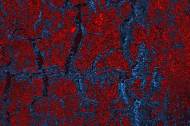 soyut mavi ve kırmızı doku, grunge arkaplan, boşluk duvar kağıdını kopyala