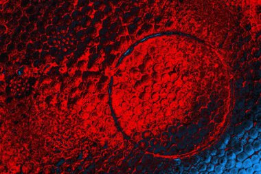 soyut doku, grunge arkaplan, boşluk duvar kağıdını kopyala