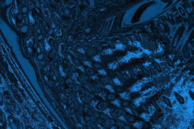 soyut doku, grunge arkaplan, boşluk duvar kağıdını kopyala      