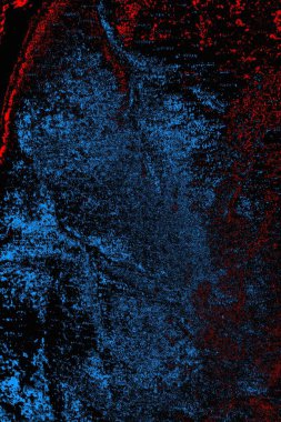 soyut mavi ve kırmızı doku, grunge arkaplan, boşluk duvar kağıdını kopyala