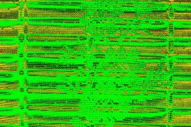 soyut yeşil doku arkaplanı, boşluk duvar kağıdını kopyala